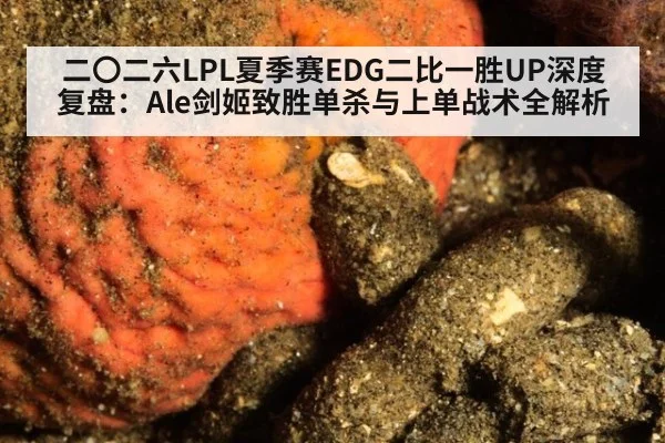 二〇二六LPL夏季赛EDG二比一胜UP深度复盘：Ale剑姬致胜单杀与上单战术全解析