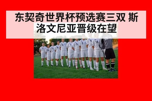东契奇世界杯预选赛三双 斯洛文尼亚晋级在望